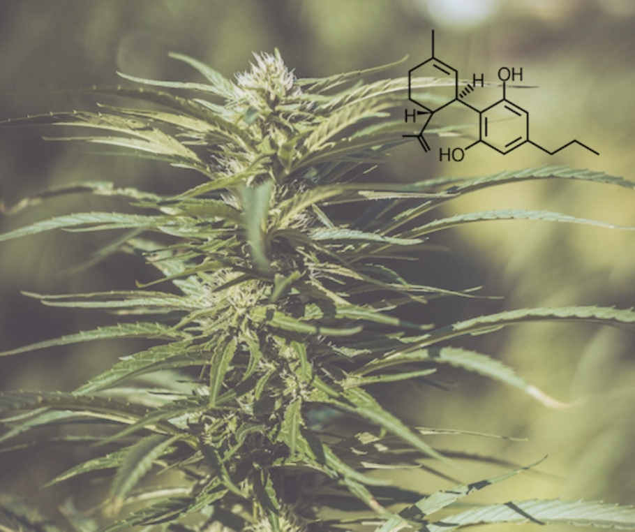 Konopný olej Nervy 26% 30 ml