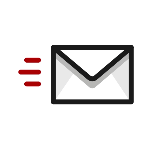 Windows 11 Professional