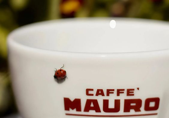 Caffe Moreno šálka Cappuccino Grande