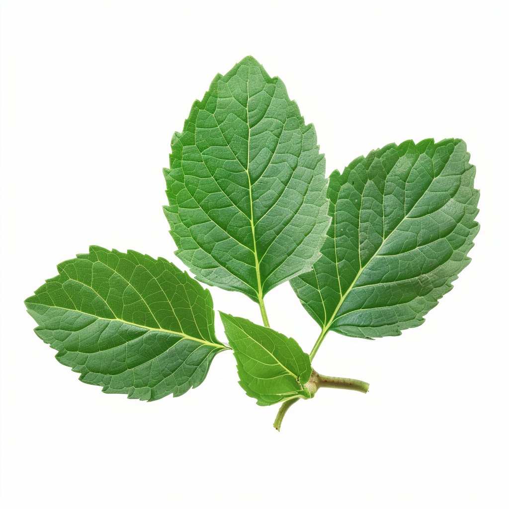 Vonné tyčinky Tulsi, 15 ks, Sattva