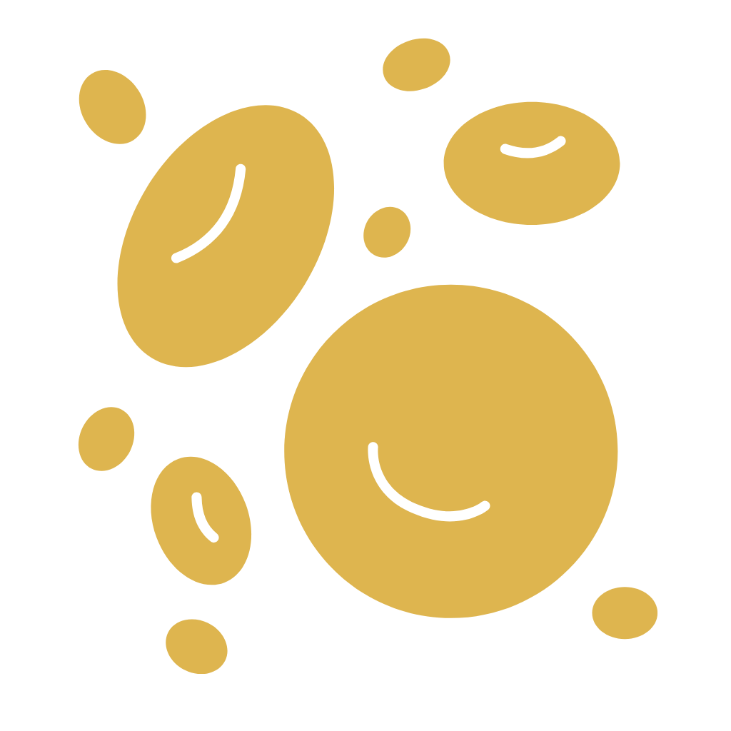 BIO Kurkuma, 60 tablet, Maharishi Ayurveda