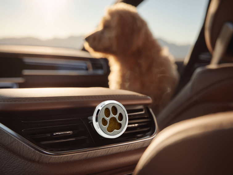 Aroma Difuzér do auta Tlapka, 1 ks