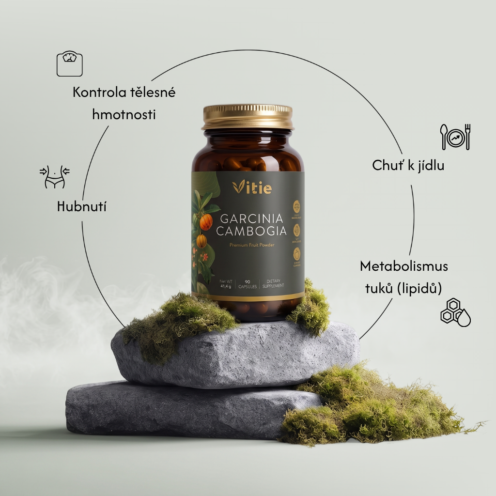Garcinia Cambogia, 90 kapslí, Vitie
