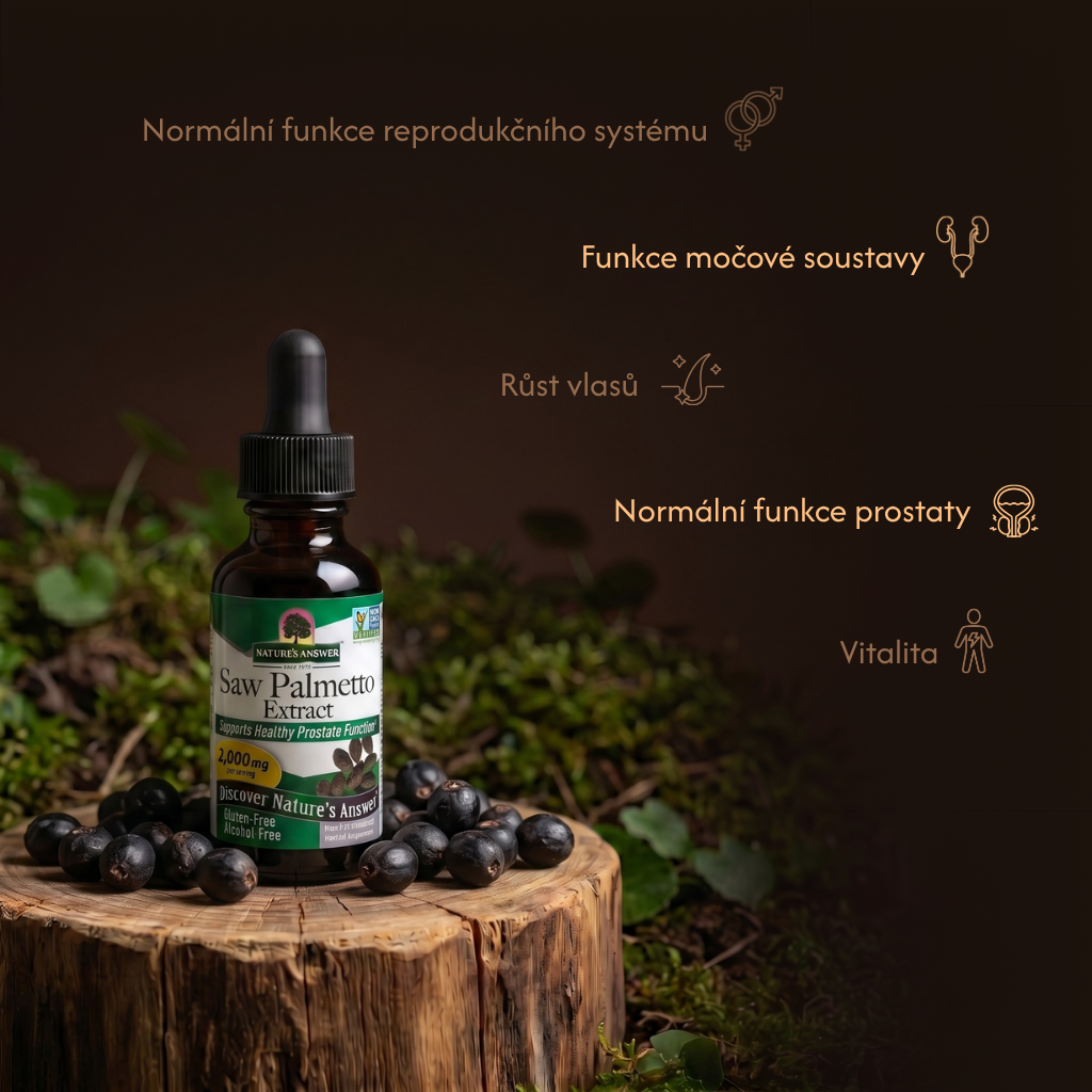 Serenoa plazivá (Palma sabalová), bylinné kapky, 30 ml, Nature's Answer