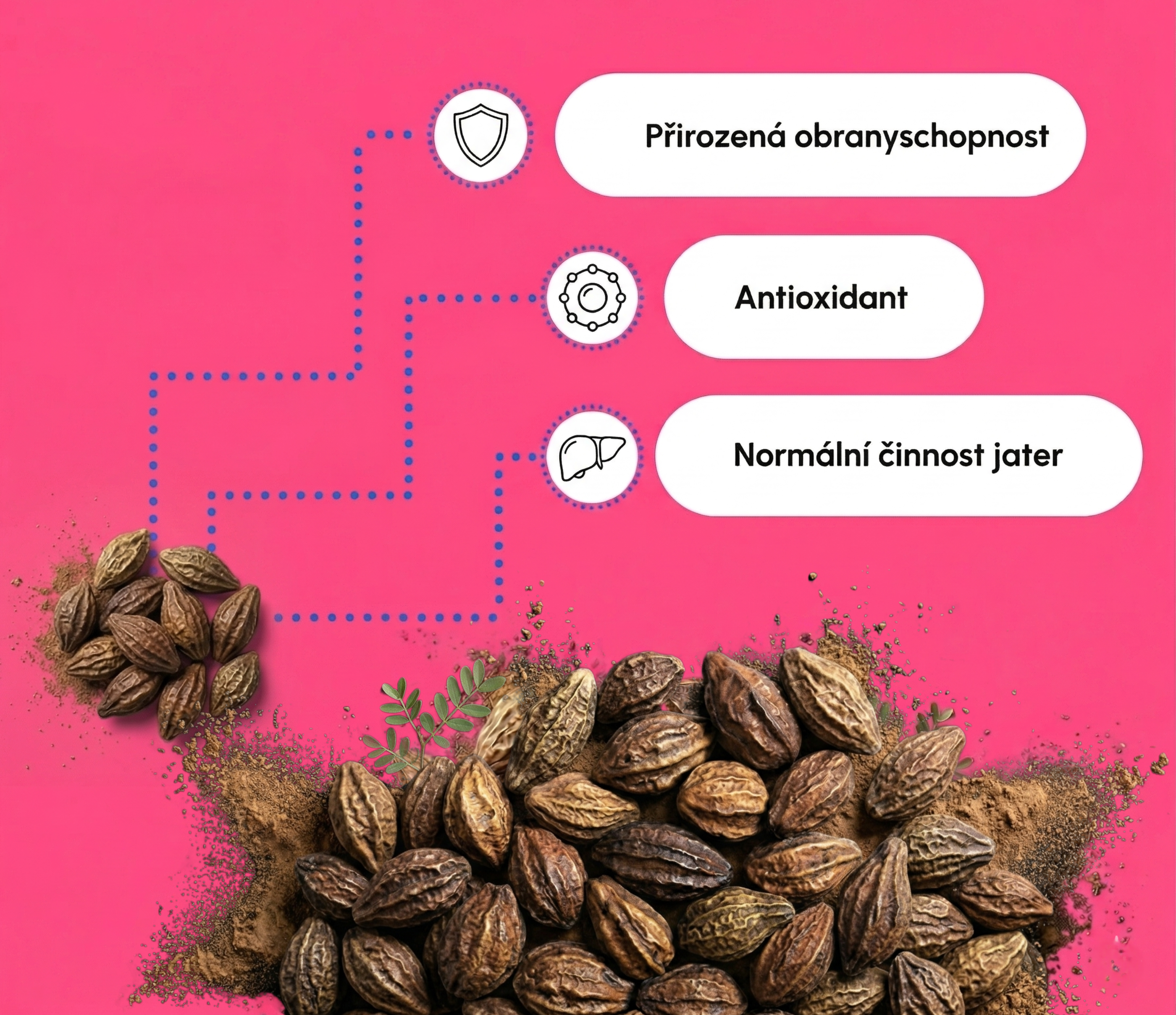 Čavanpraš (Chyawanprash), 500 g, Sattva