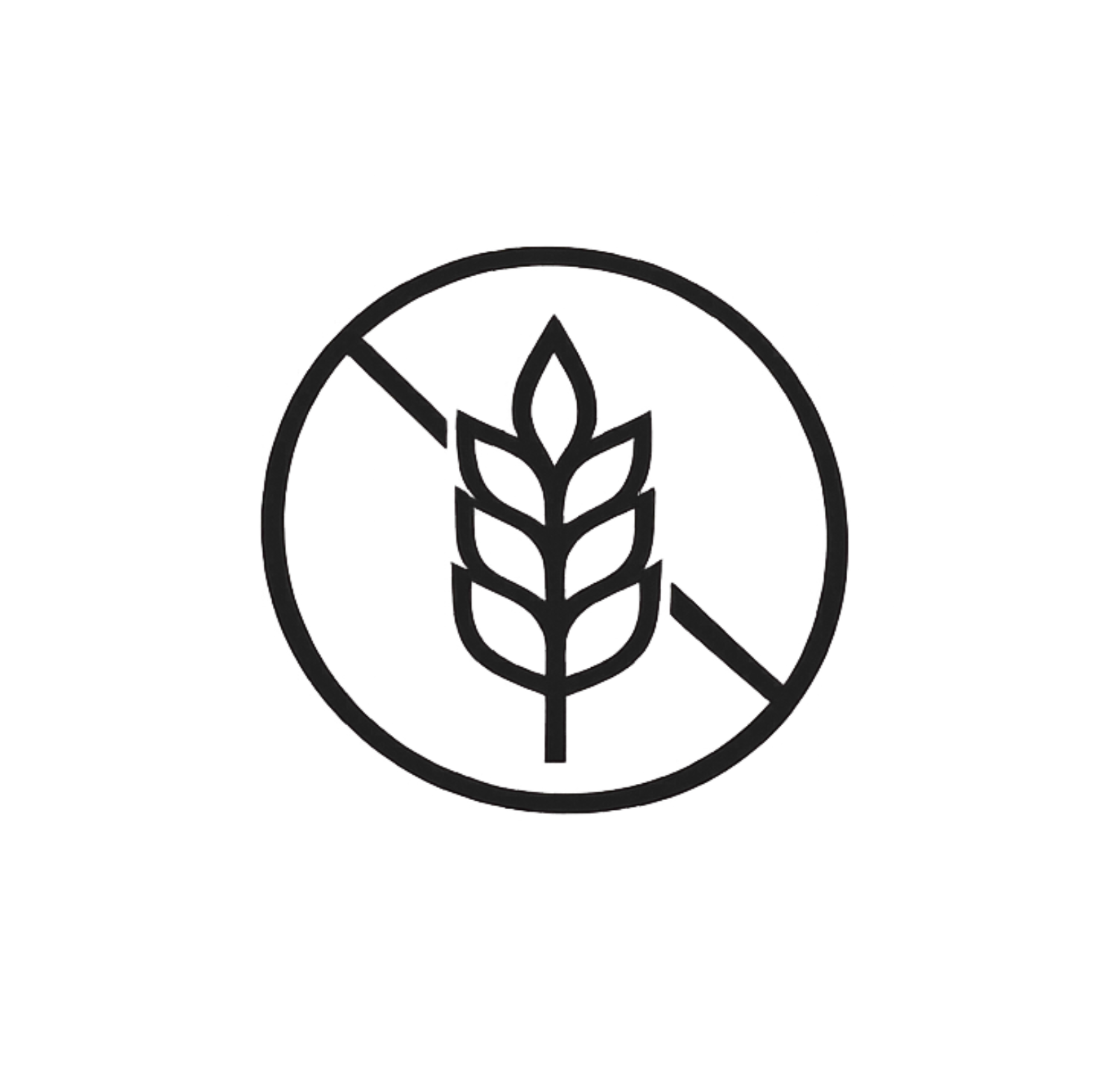 Aloe Vera drink s Chia semínky, 500 ml, ALEO