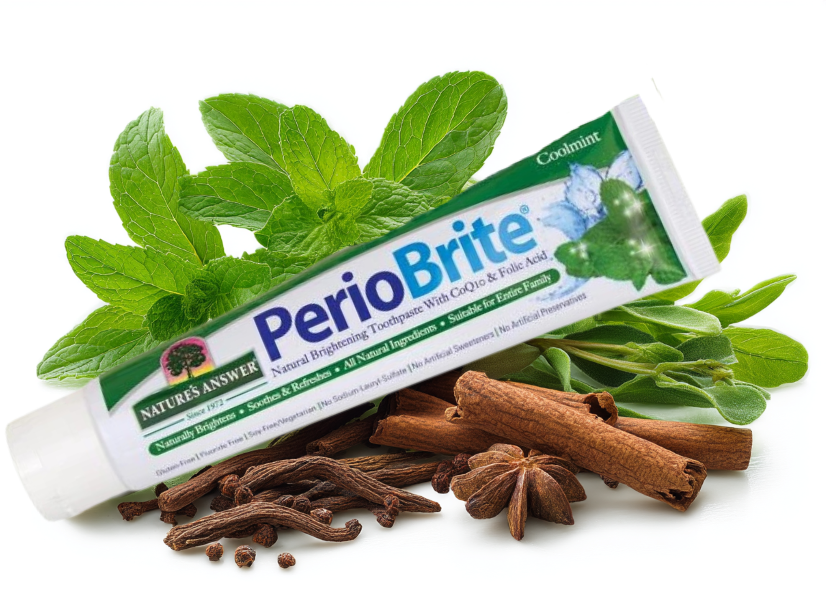 Zubní pasta PerioBrite Coolmint, 113 g, Nature's Answer