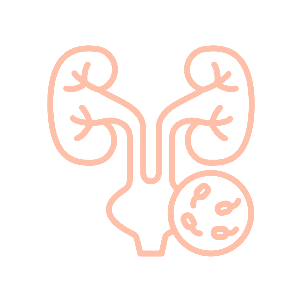 Brusinka americká, bylinné kapky, 30 ml, Nature's Answer