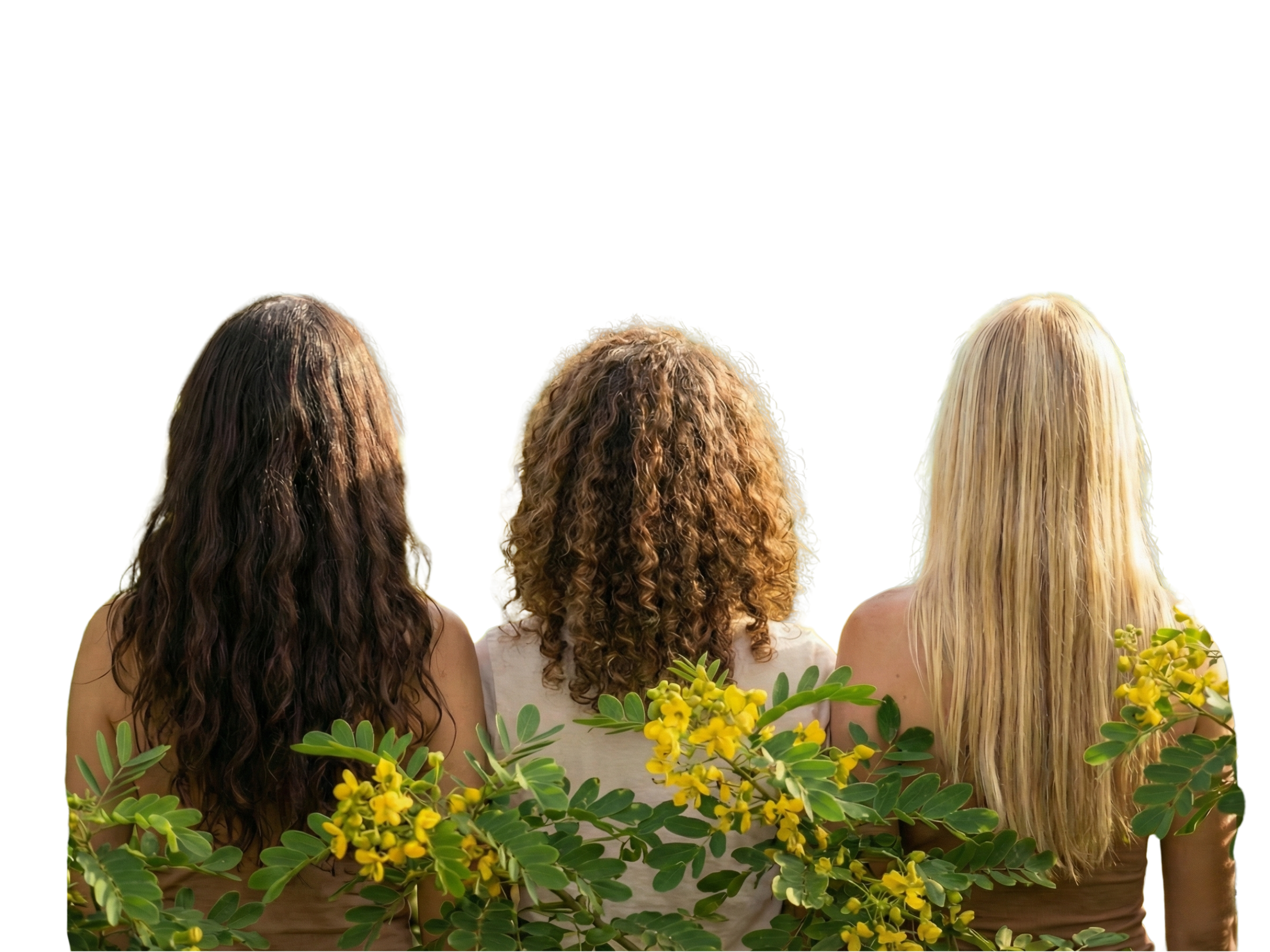 Cassia - bylinná maska Vlasy, 150 g, Sattva