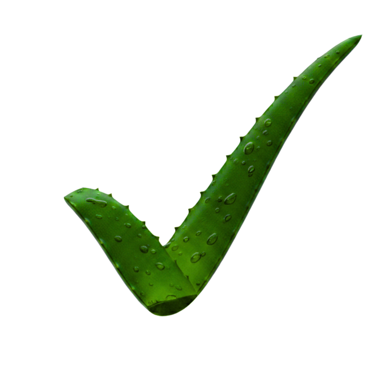 Aloe Vera drink ZERO bez cukru, 500 ml, ALEO