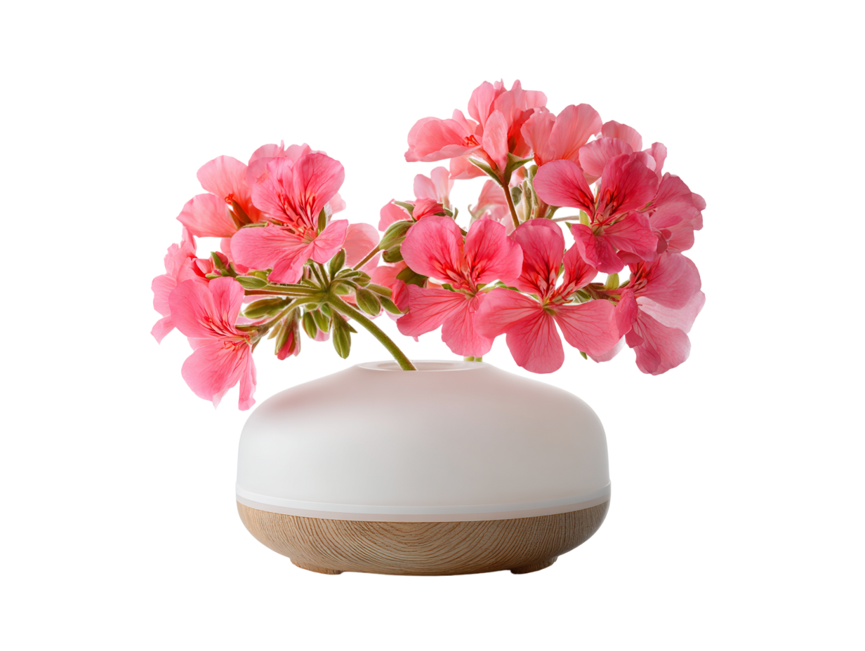 Esenciální olej Geranium, 10 ml, Vitie