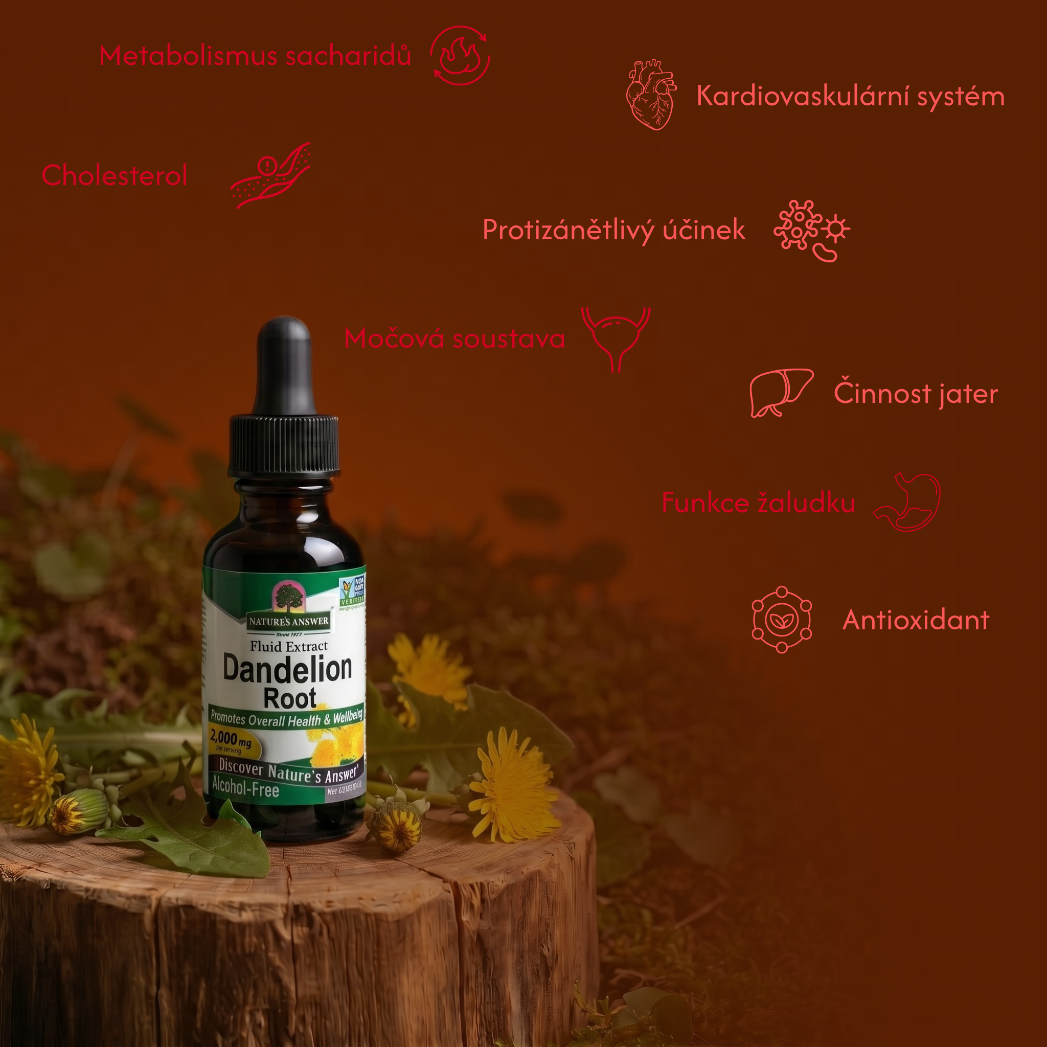 Pampeliška smetánka, bylinné kapky, 30 ml, Nature’s Answer