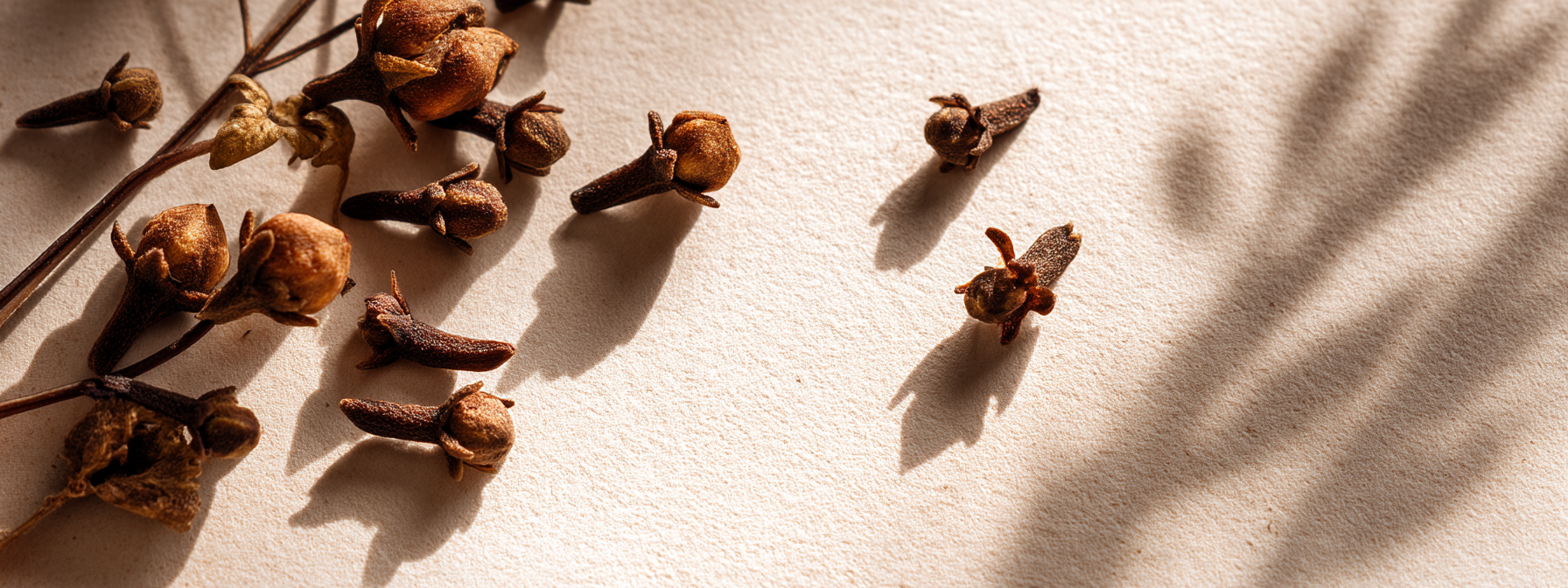 Zubní pasta Neem a hřebíčkem, 125 g, Healing Nature