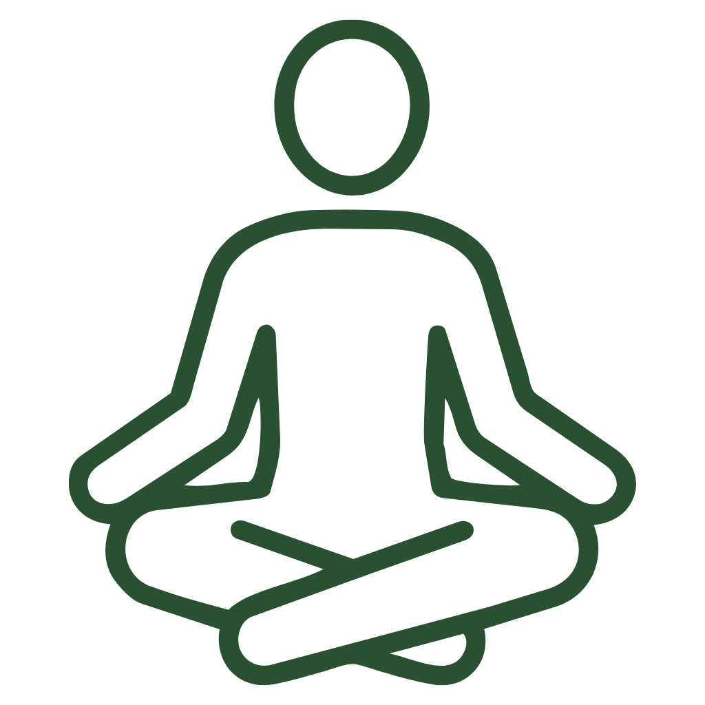 Meda II, 100 tablet, Maharishi Ayurveda