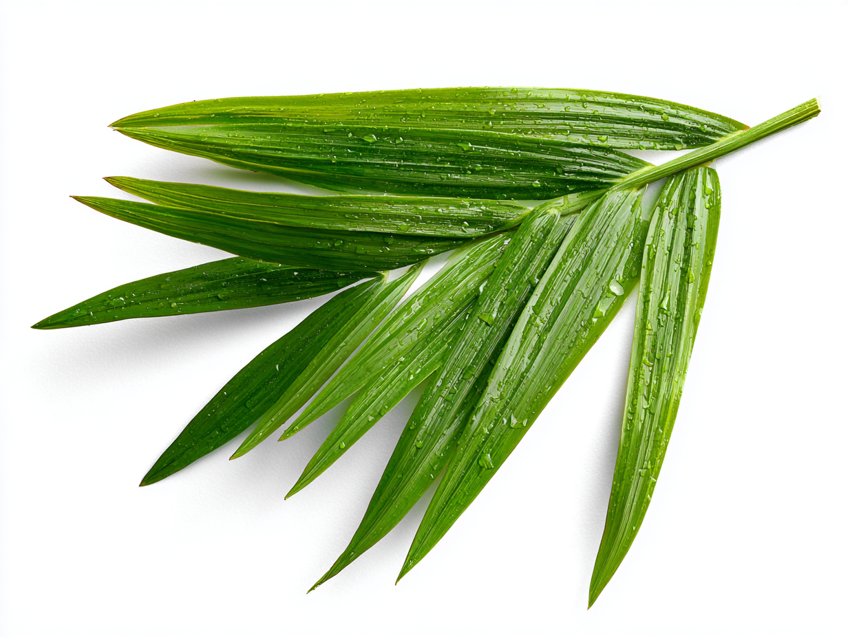 Esenciální olej Citronela, 10 ml, Vitie