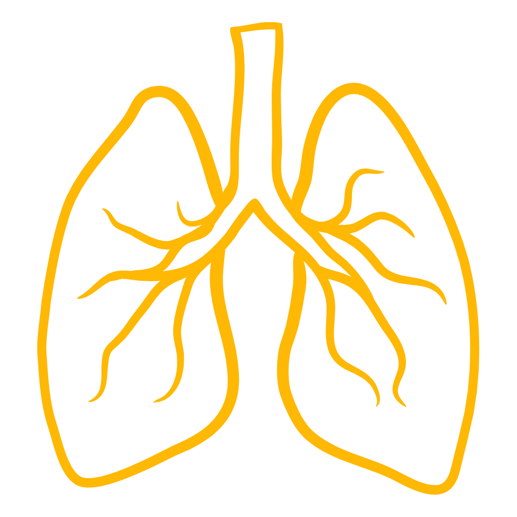 Guduchi, 60 tablet, Maharishi Ayurveda