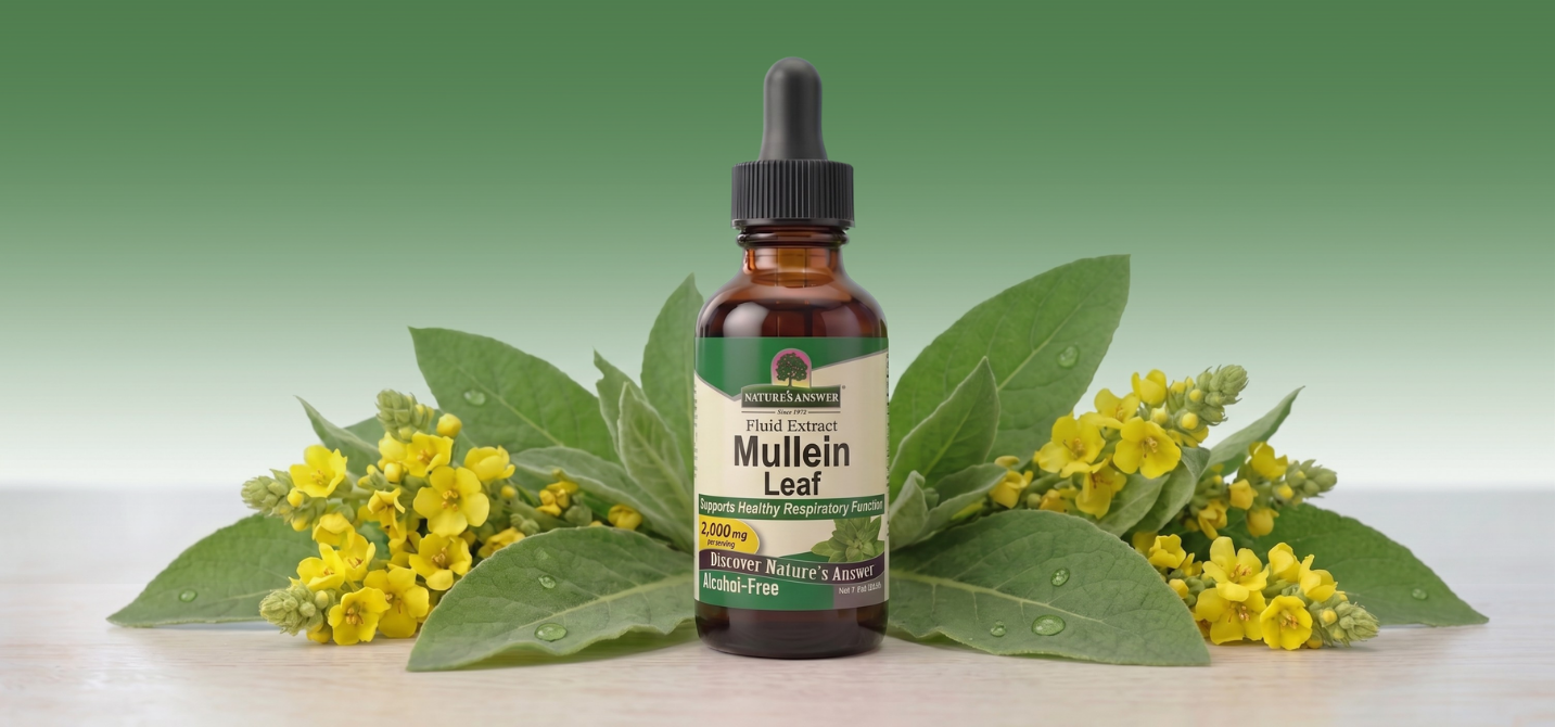 Divizna malokvětá, bylinné kapky, 30 ml, Nature's Answer