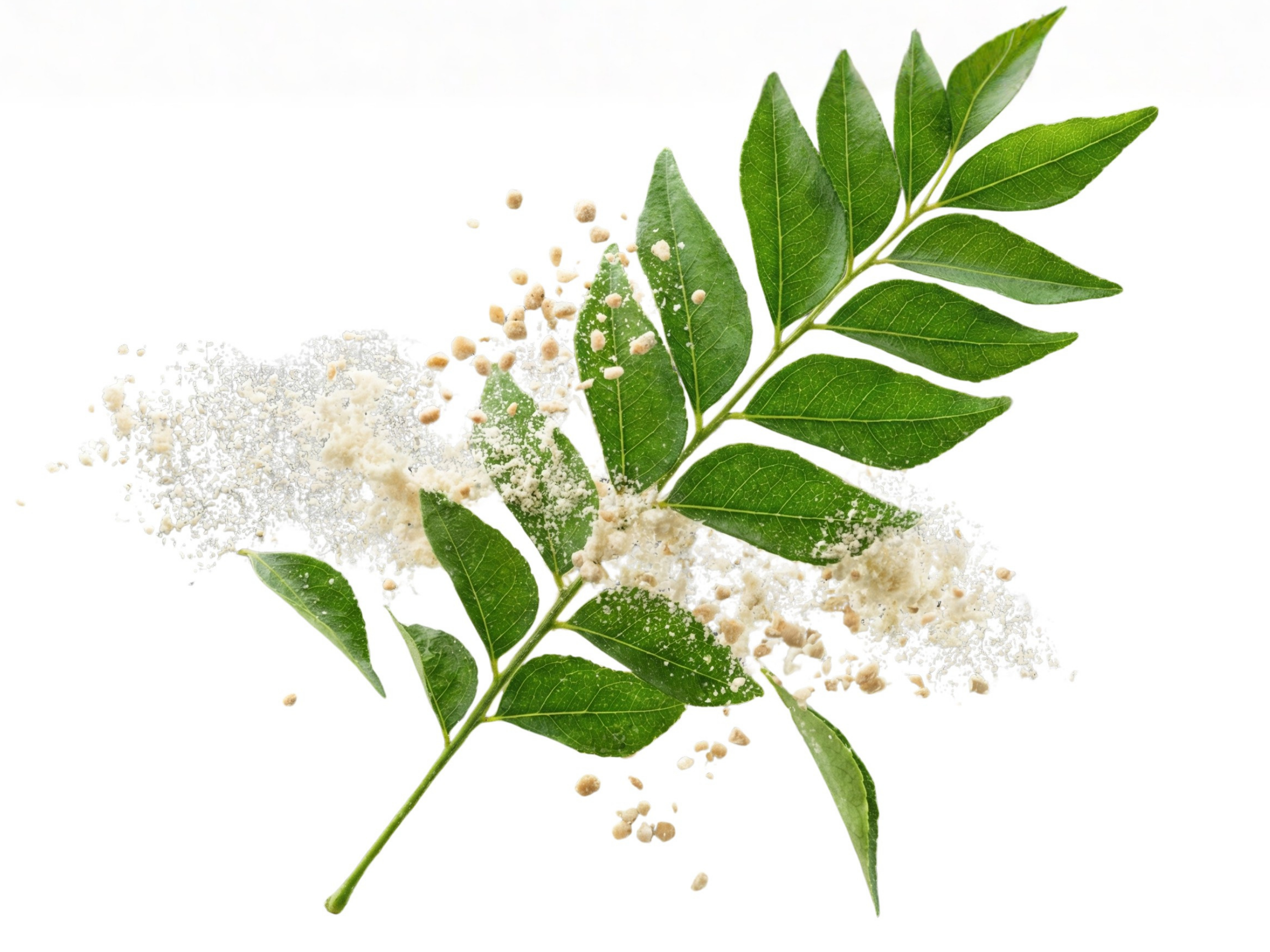 Ájurvédské tonikum Pokožka hlavy s keratinem, 100 ml, Sattva