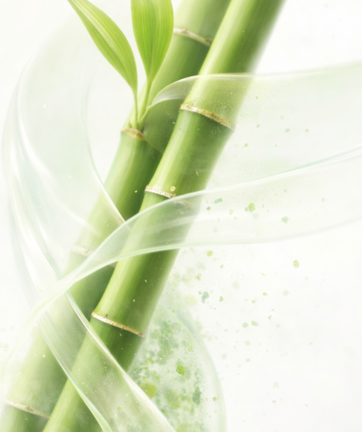 Bambusový zubní kartáček Měkký, 1 ks, Sattva