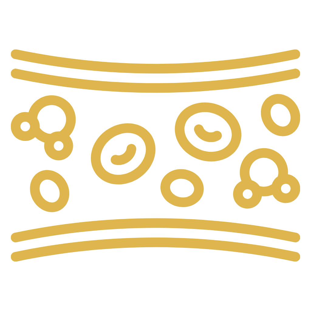 BIO Kurkuma, 60 tablet, Maharishi Ayurveda