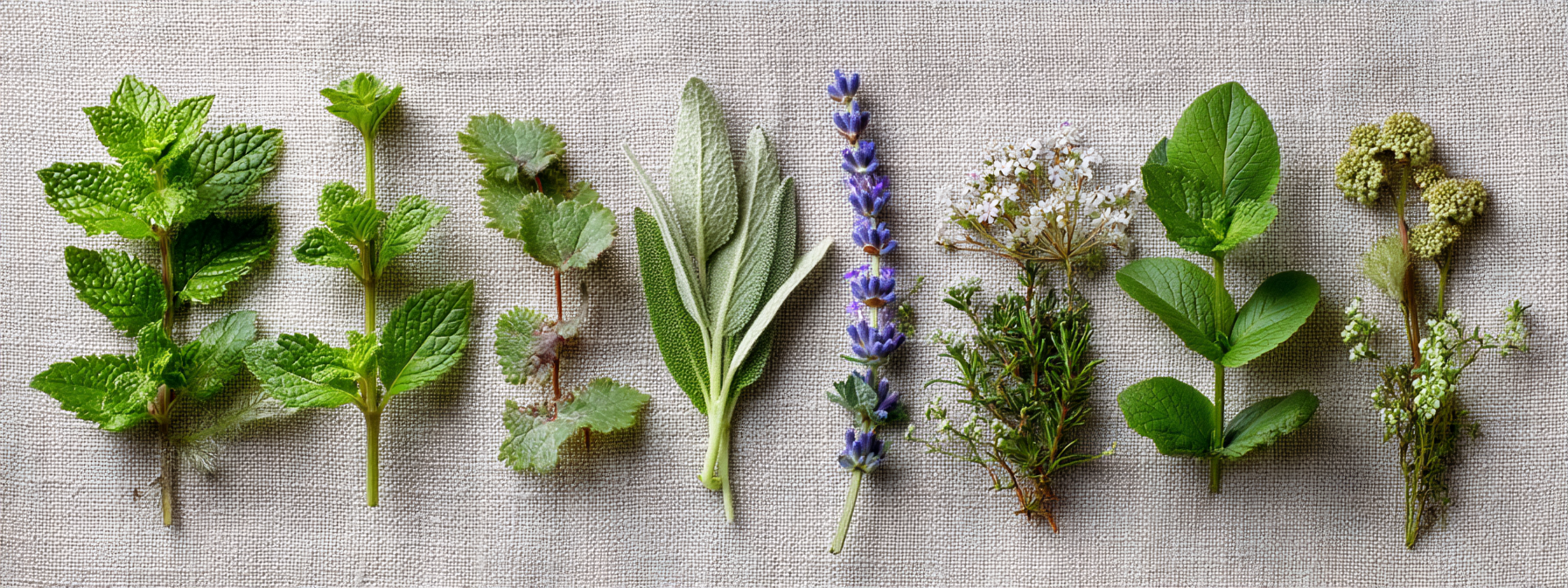 Zklidňující gel pro zdravé zuby a dásně 14,2 g, Nature's Answer