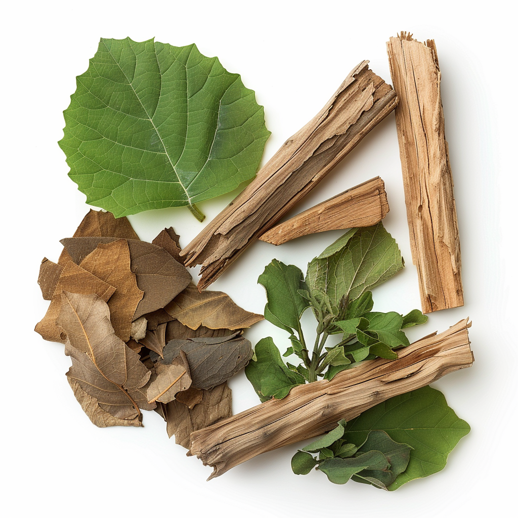 Vonné tyčinky Forest Patchouli, 20 ks, Nature's Own