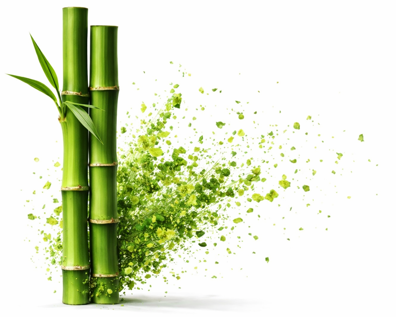 Bambusový zubní kartáček Měkký, 1 ks, Sattva