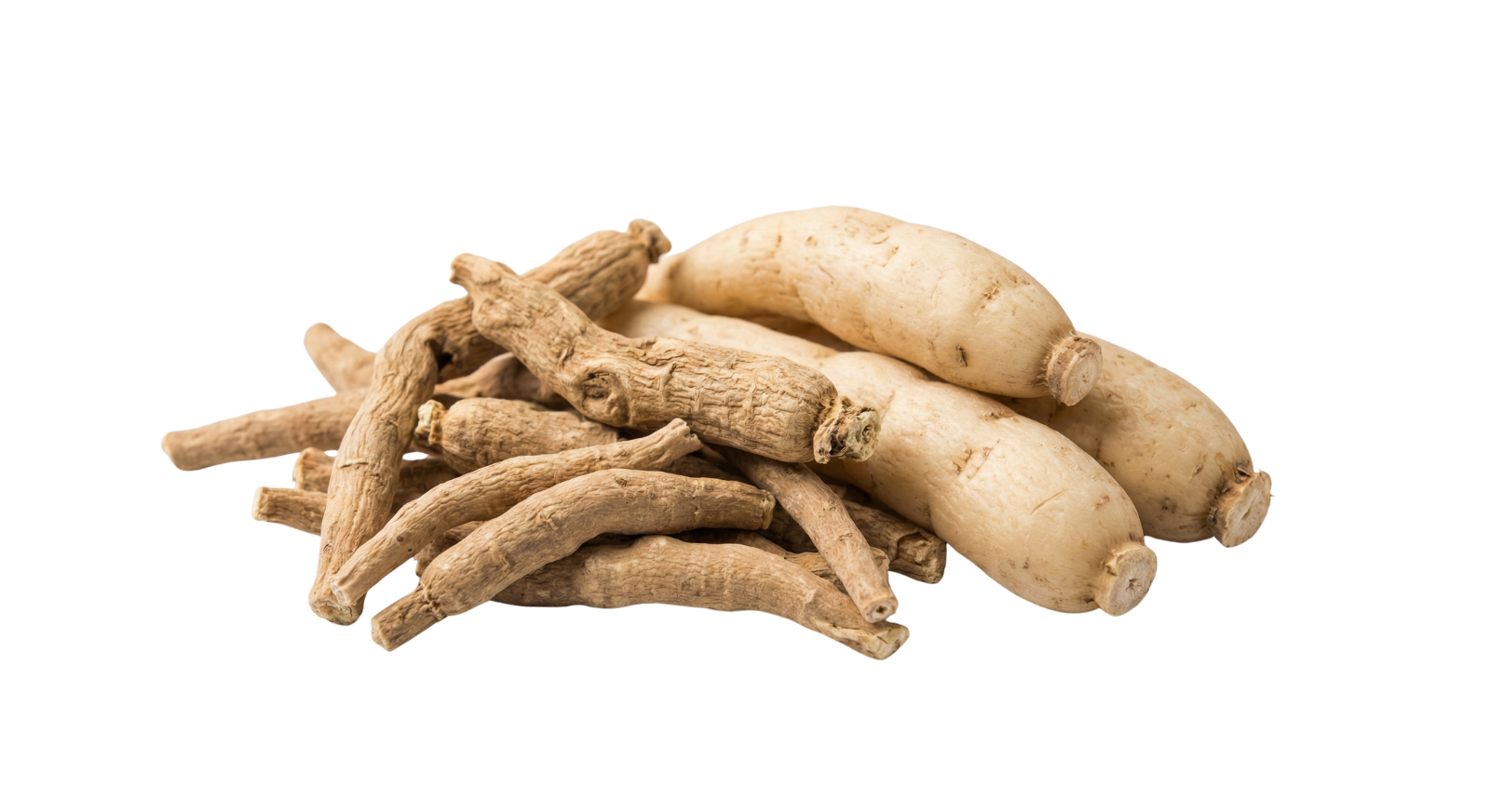 Ájurvédské byliny