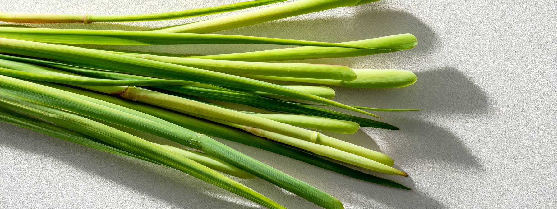 Bělicí zubní pasta s voňatkou, 125 g, Healing Nature