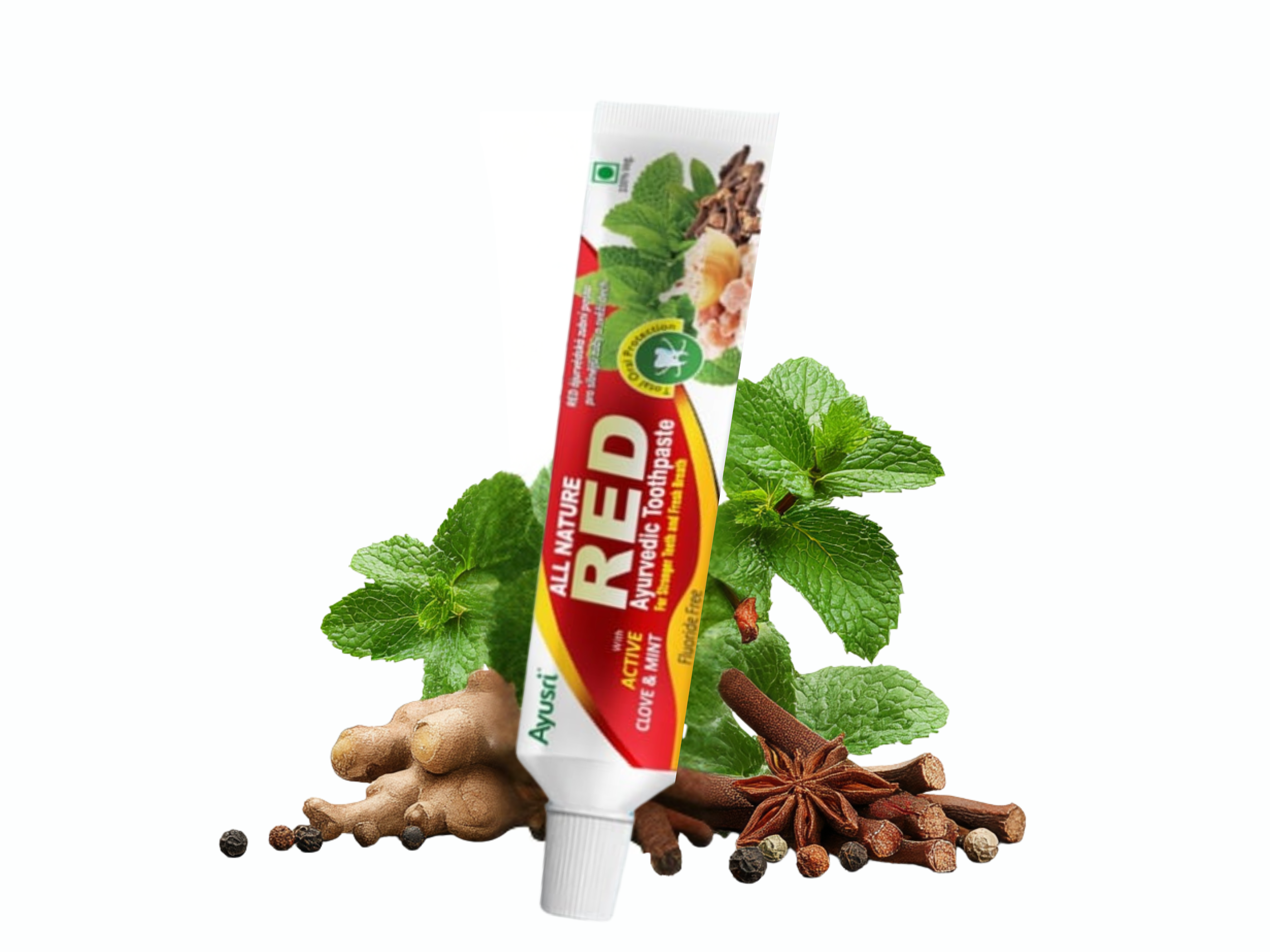 Ájurvédská zubní pasta RED, 100 g, Ayusri