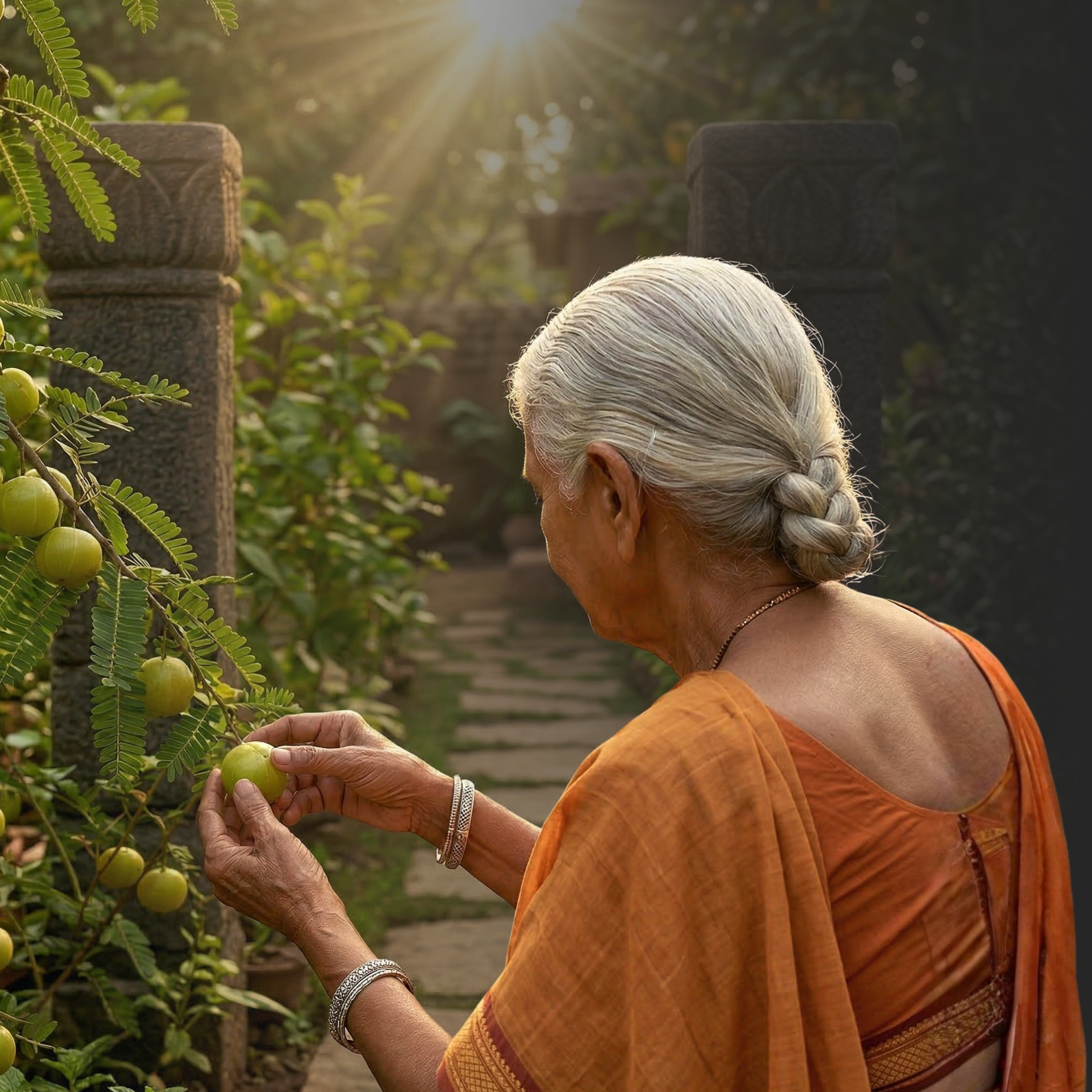 Čavanpraš original (Chyavanprash), 450 g, Maharishi Ayurveda
