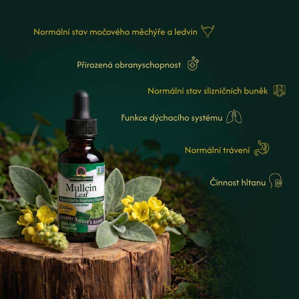 Divizna malokvětá, bylinné kapky, 30 ml, Nature's Answer