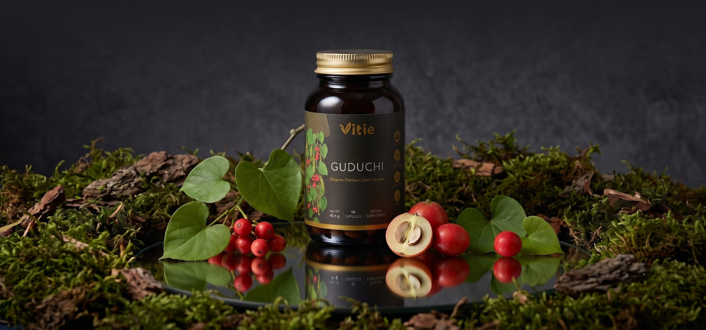 BIO Guduchi, 90 kapslí, Vitie