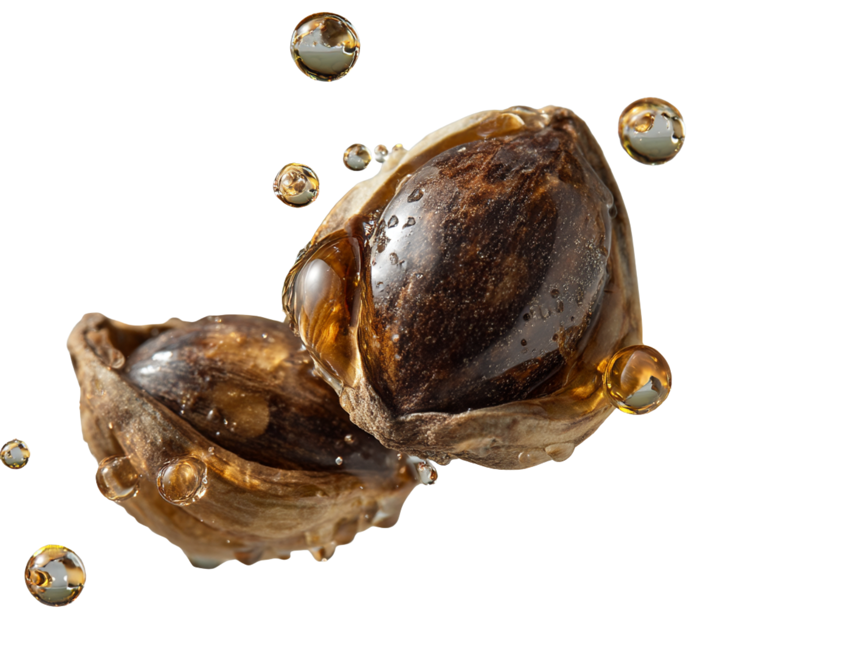 BIO Moringový olej, 30 ml, Vitie