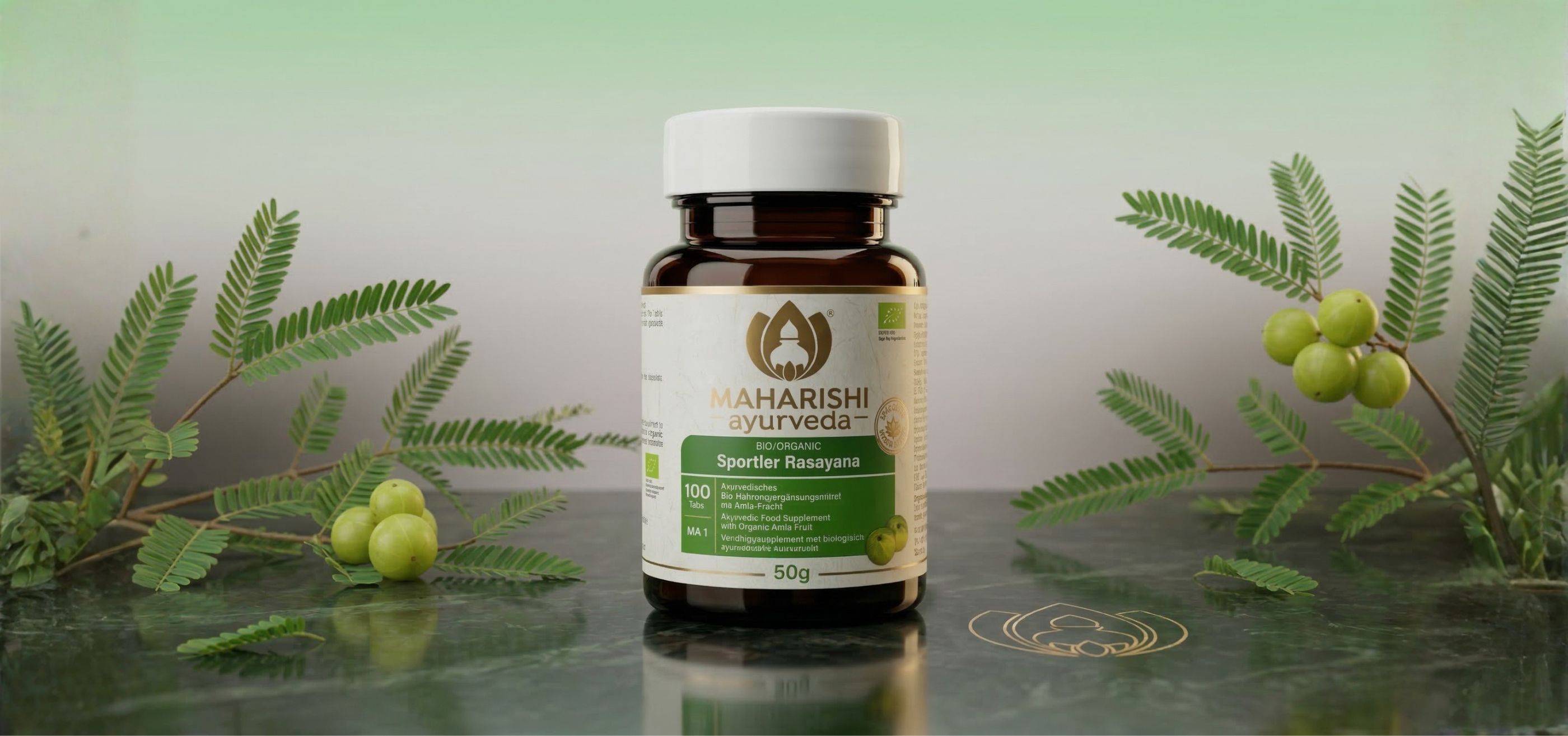 BIO Sport Rasayana, 100 tablet, Maharishi Ayurveda