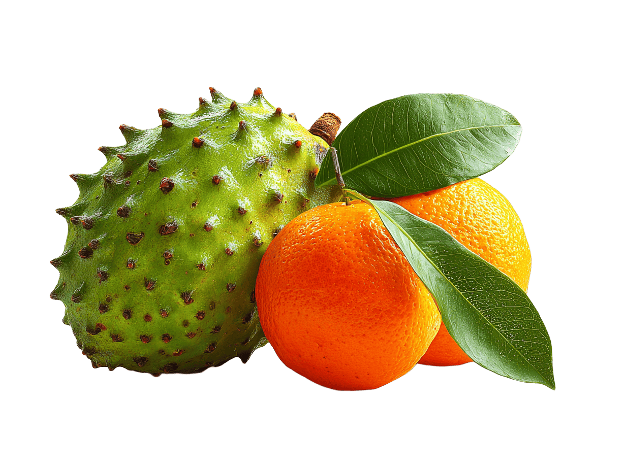 Love of my life - kolekce 6 čajů, 60 sáčků, Samley