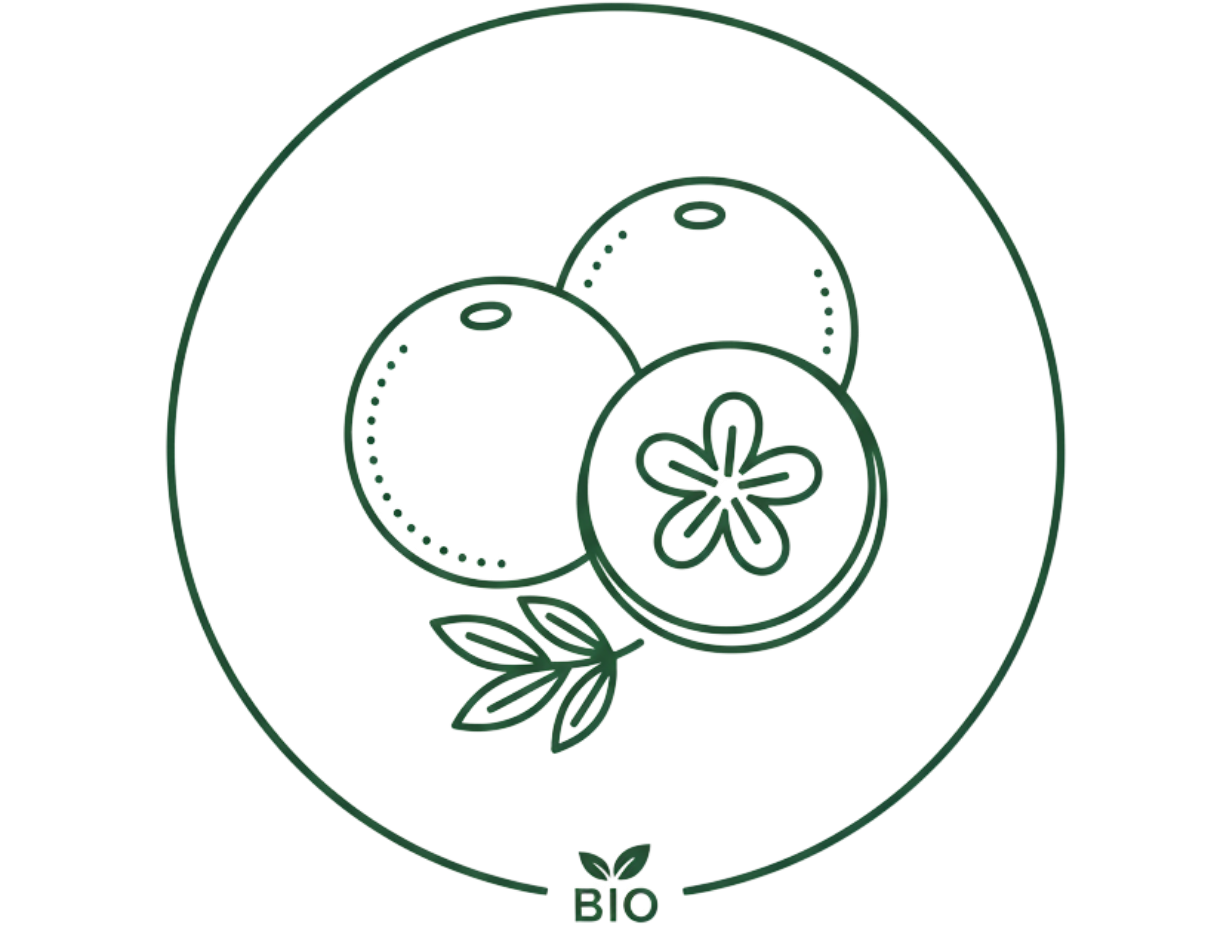 BIO Sport Rasayana, 100 tablet, Maharishi Ayurveda