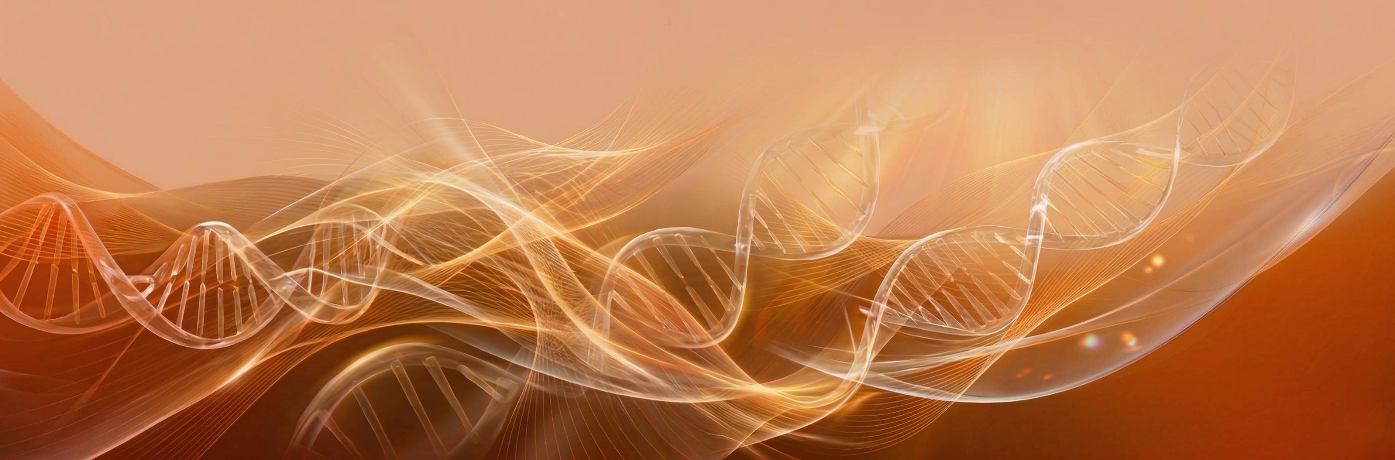 BIO Amalaki, 60 tablet, Maharishi Ayurveda