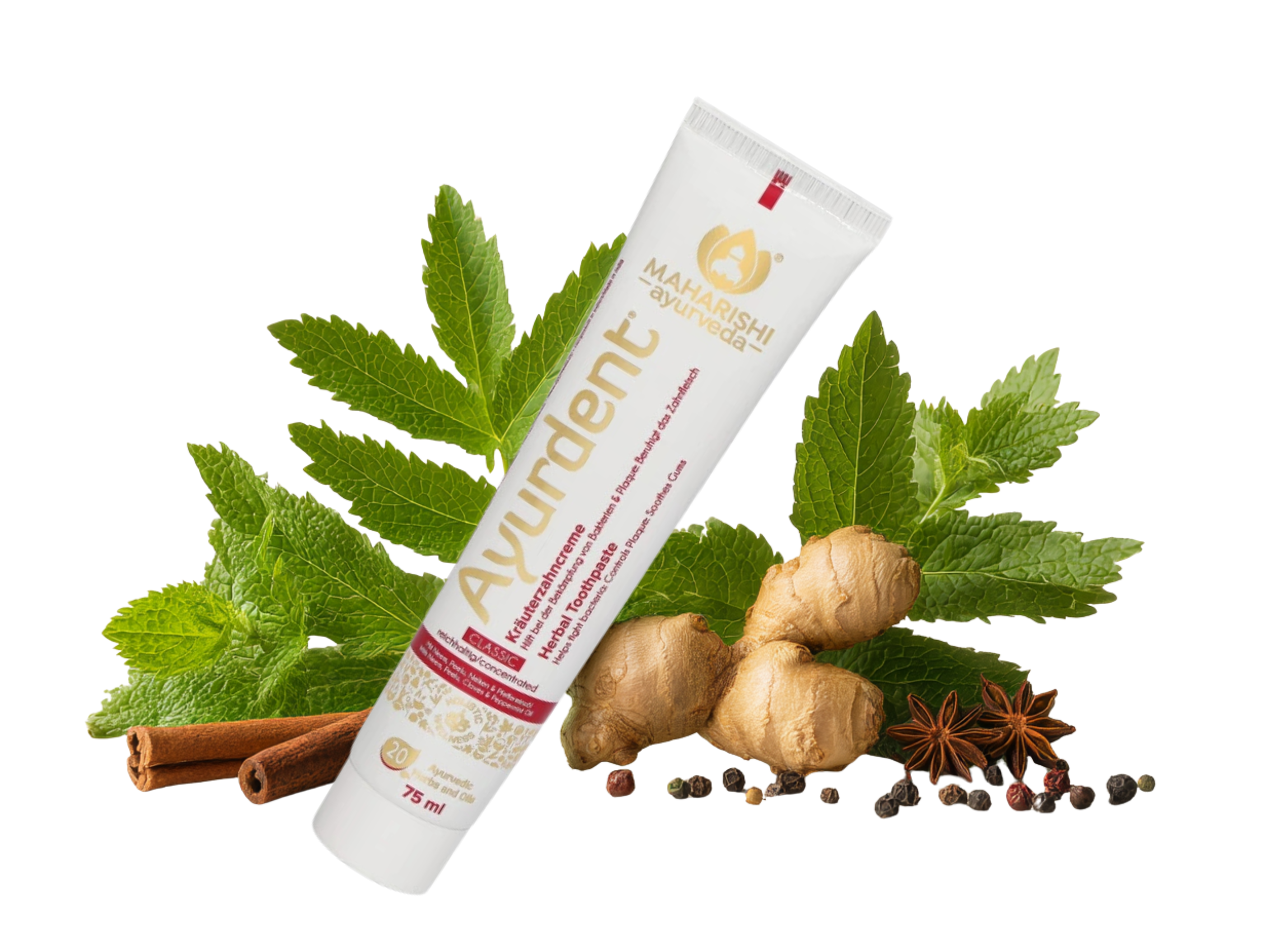 Bylinná zubní pasta Classic, 75 ml, Maharishi Ayurveda