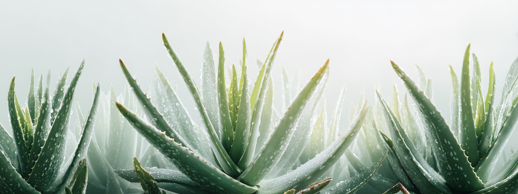 Zubní pasta Soothe & Protect Aloe vera, 100 ml, Dabur