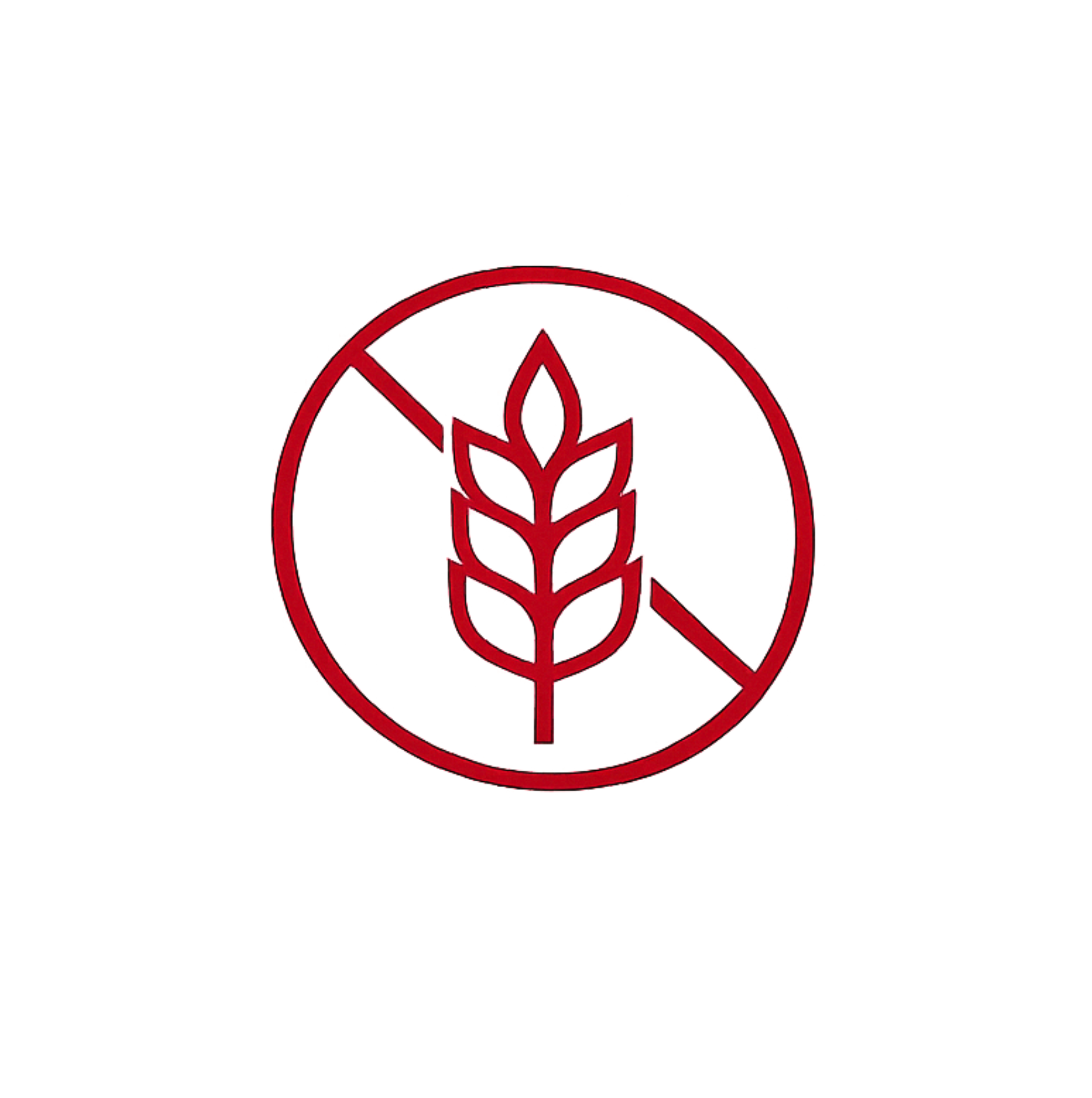 Aloe Vera drink Meloun, 500 ml, ALEO