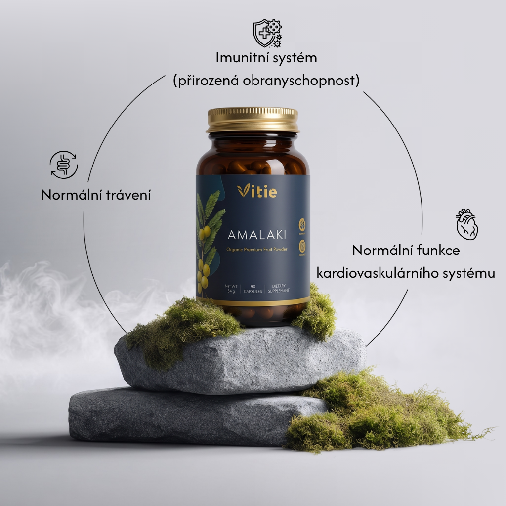 BIO Amalaki (Amla), 90 kapslí, Vitie
