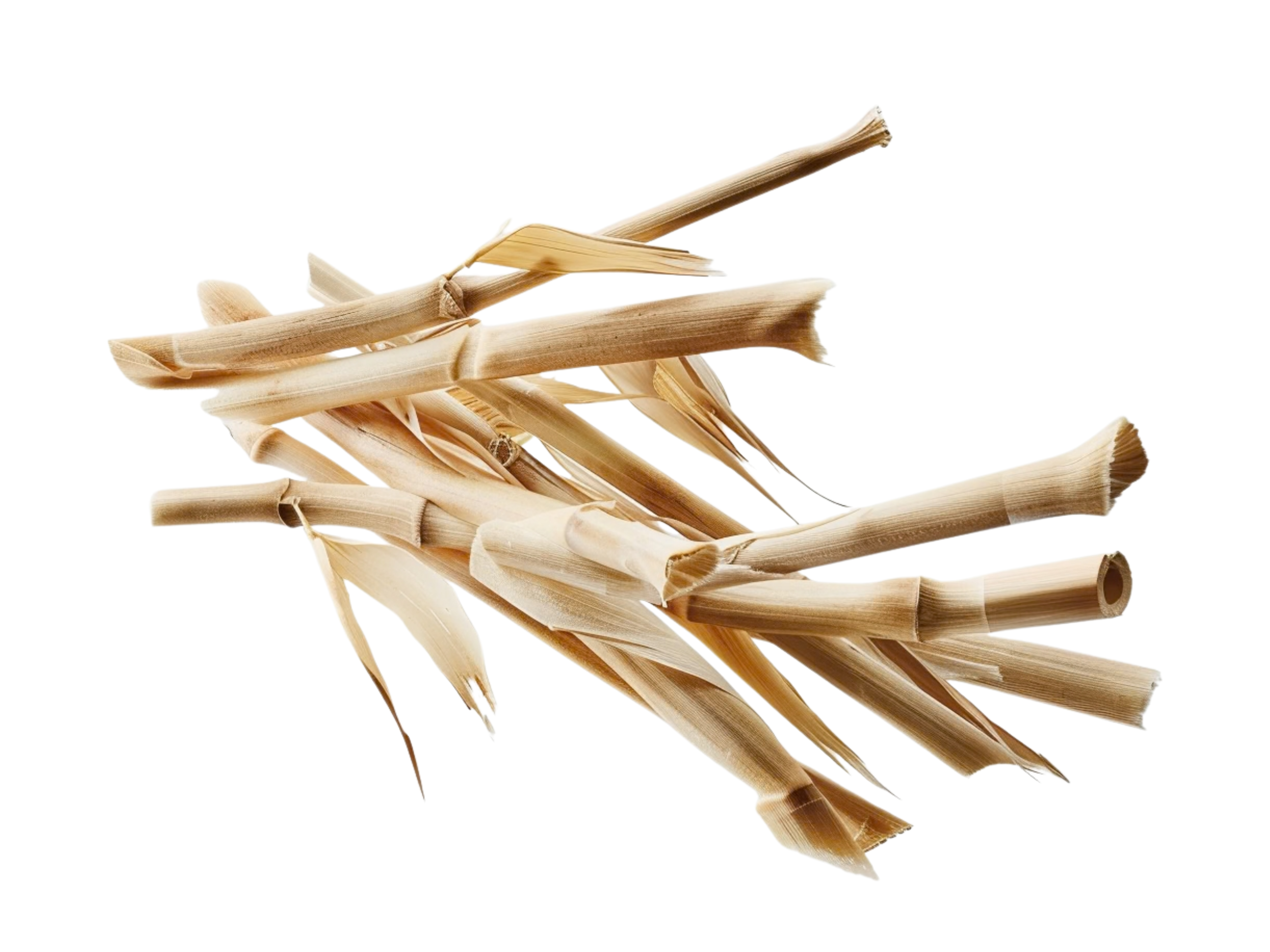 Bambusová brčka s Čistícím kartáčkem, Sattva