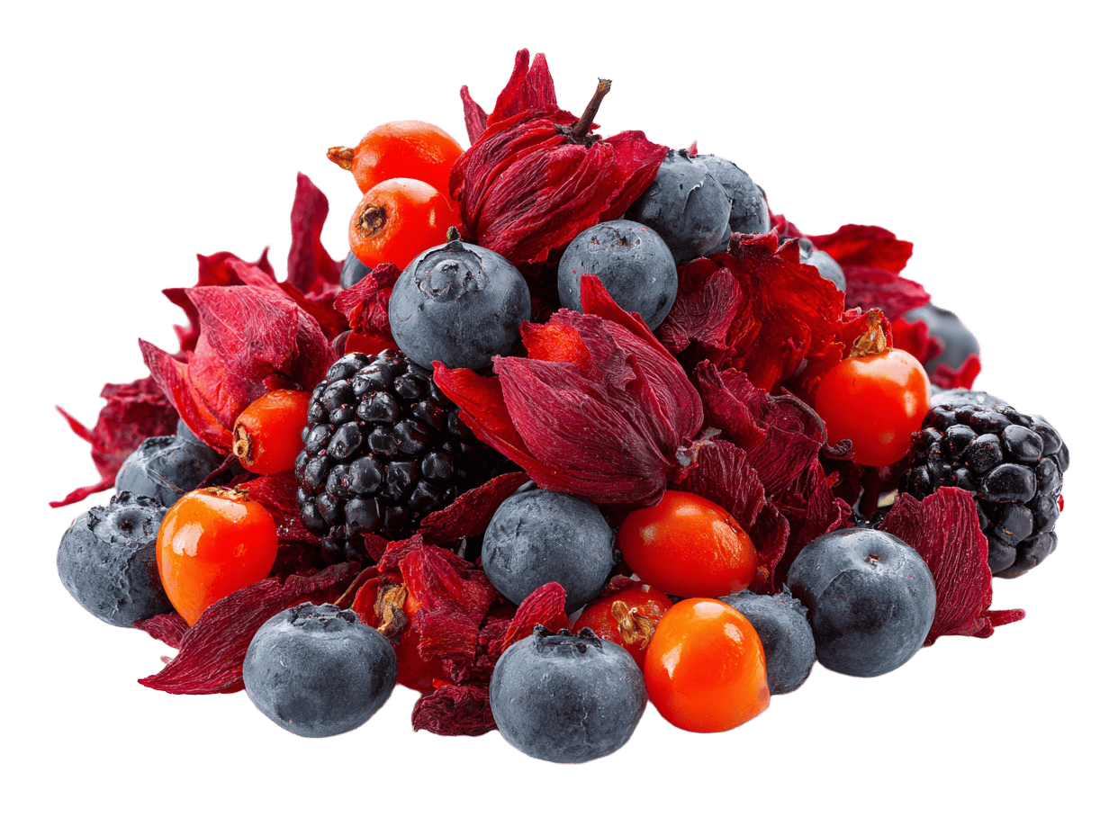 BIO čaj MIX Každodenní wellness, 20 sáčků, English Tea Shop