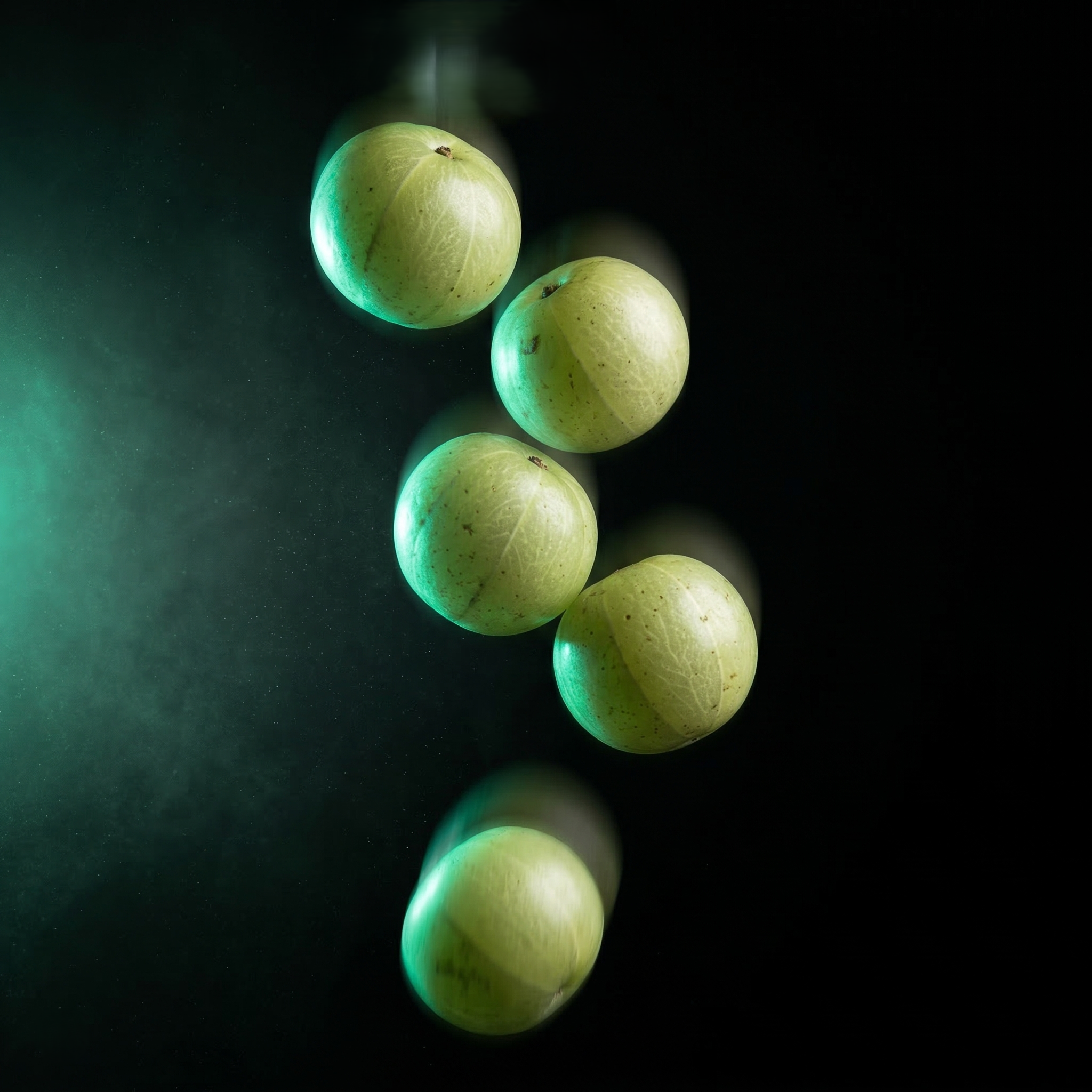 Čavanpraš original (Chyavanprash), 450 g, Maharishi Ayurveda