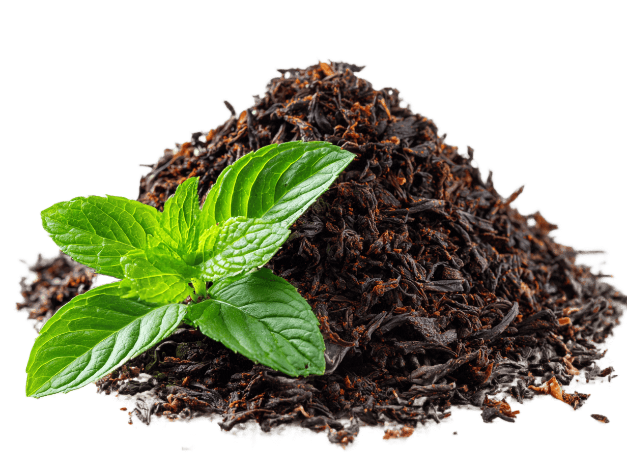 BIO čaj MIX Životabudič, 20 sáčků, English Tea Shop