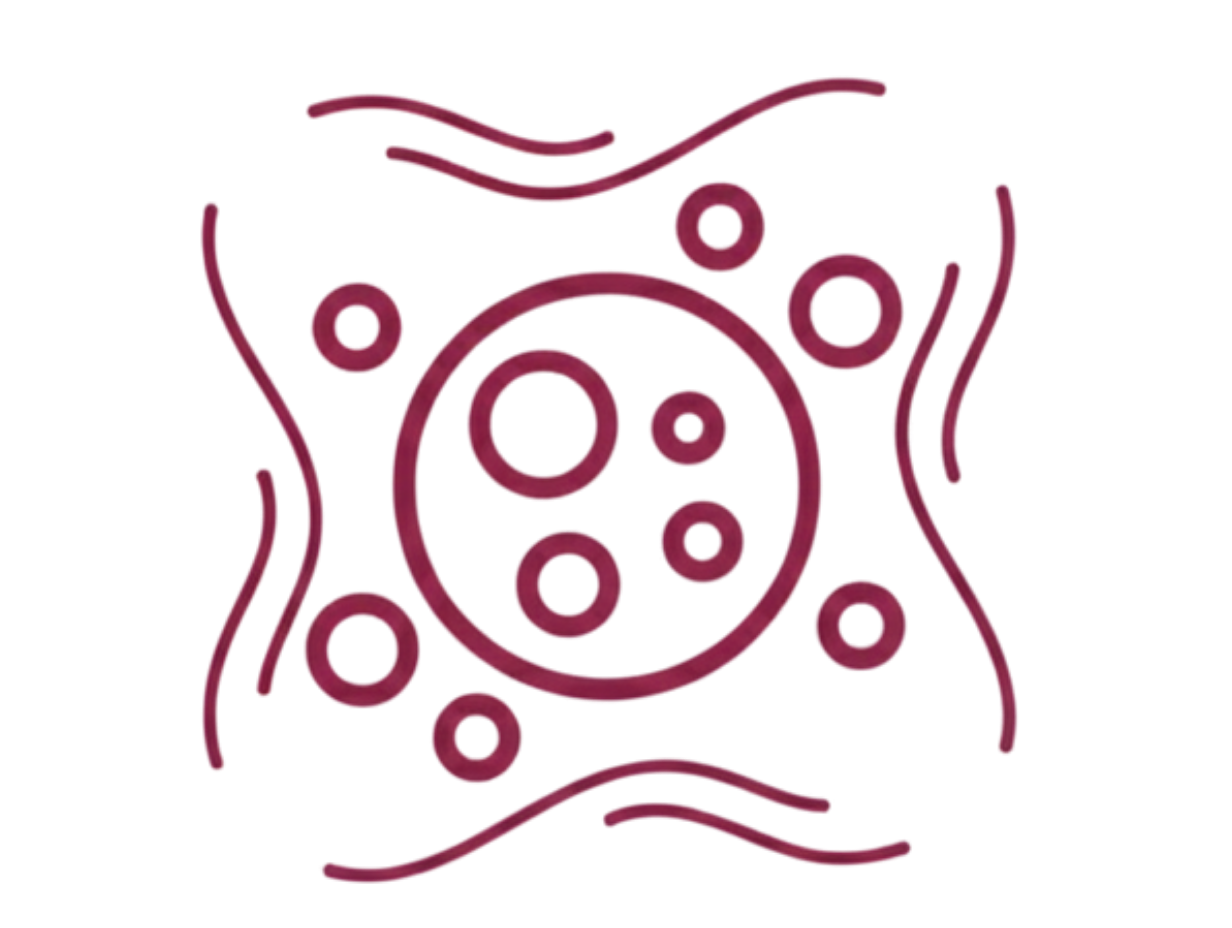 Radiant Skin, 60 tablet, Maharishi Ayurveda