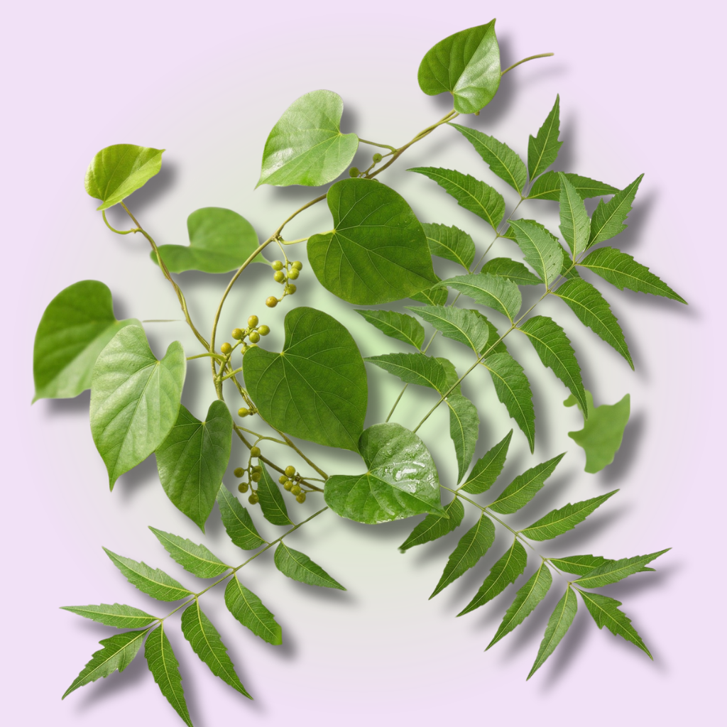 Livomap, 60 tablet, Maharishi Ayurveda