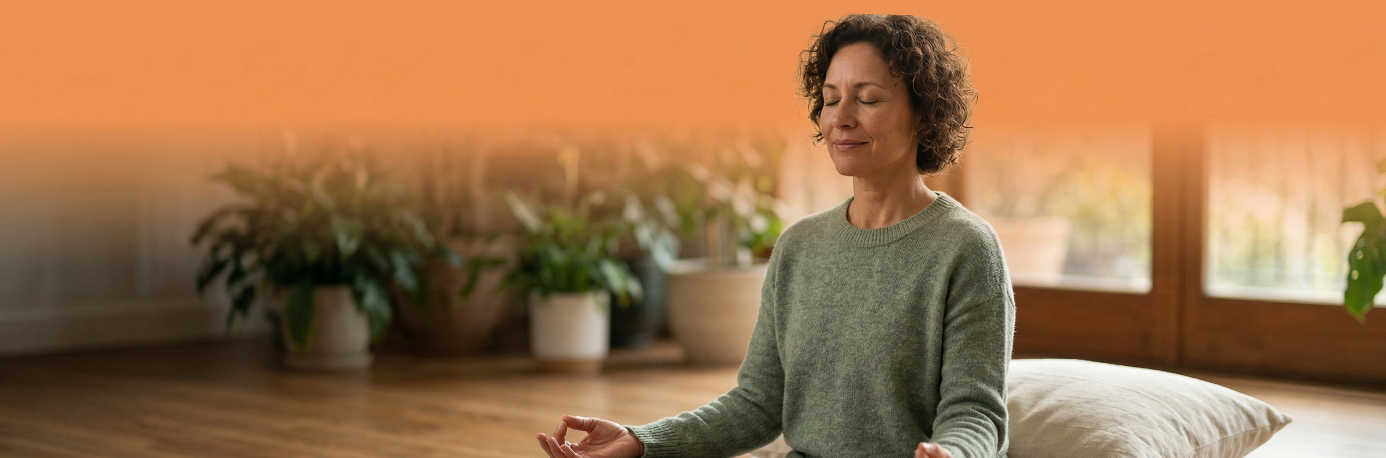 Meda II, 100 tablet, Maharishi Ayurveda