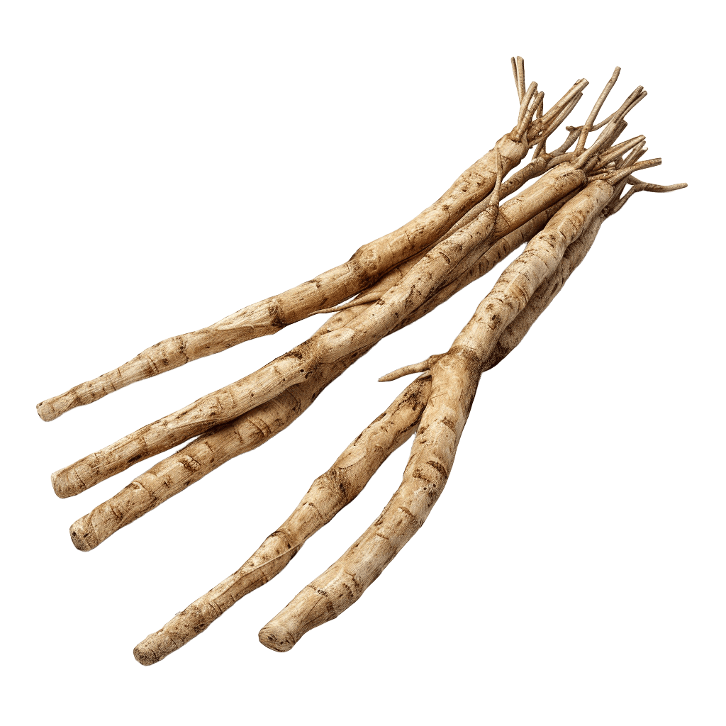 BIO Shatavari, 60 tablet, Maharishi Ayurveda